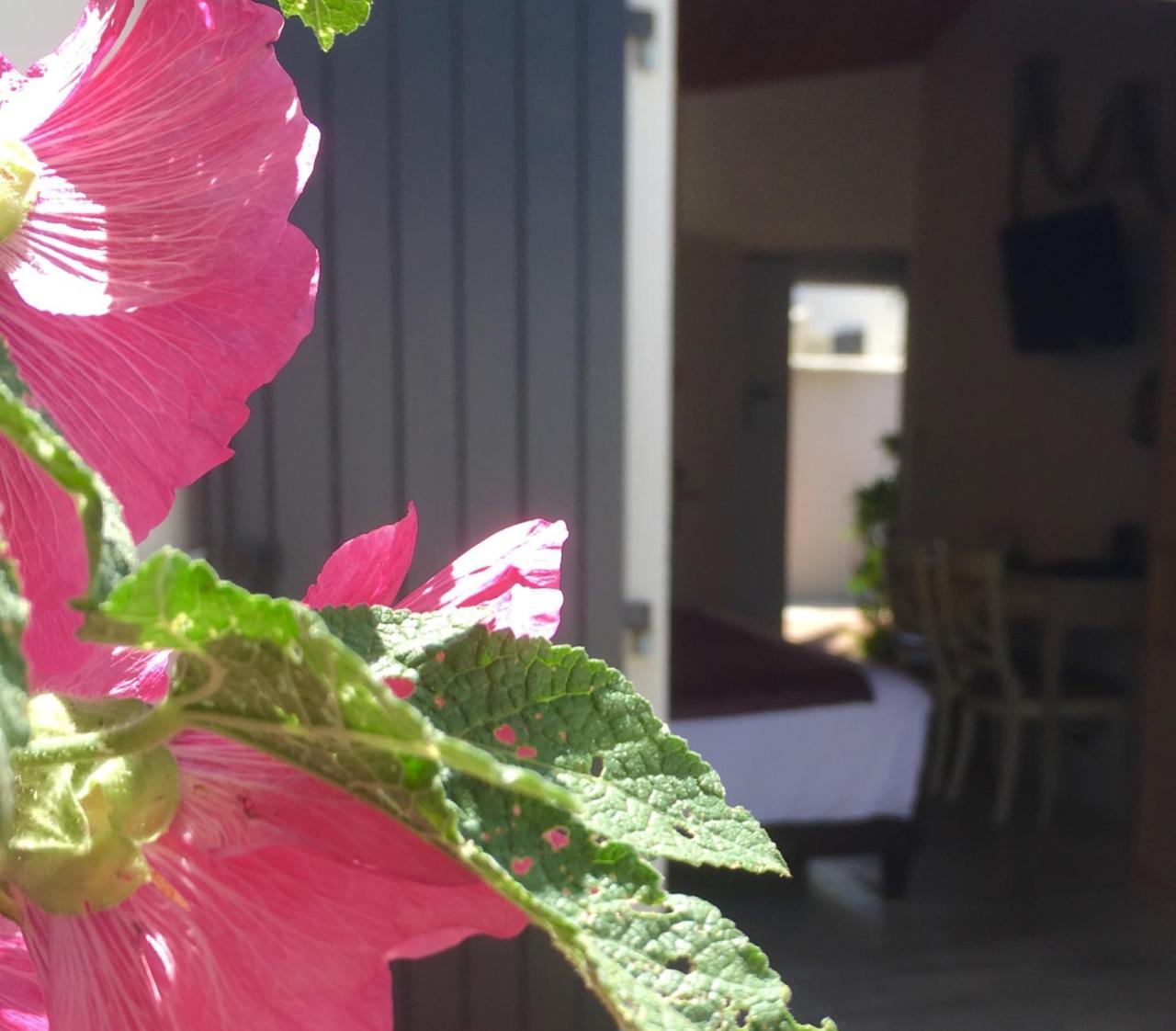 Hotel Restaurant & Spa Plaisir 르보아플라주앙르 외부 사진